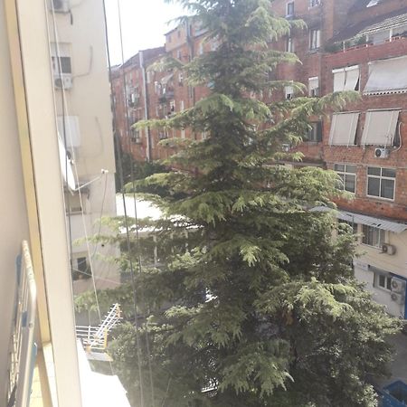 Jolie Center Apartment Tiranë Ngoại thất bức ảnh